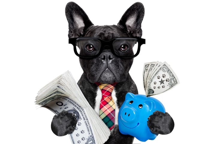 Frequently Asked Questions: LLCs and Self-Directed IRAs
