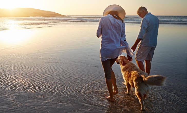 How to Take a Distribution or RMD from Your IRA LLC