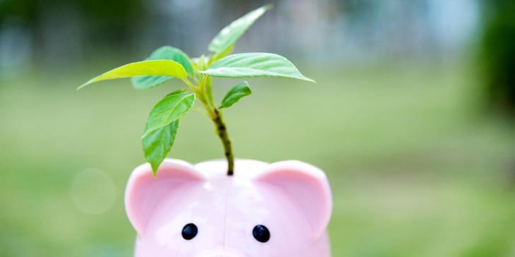 The Self-Directed SEP IRA: How to Save & Invest More— Faster