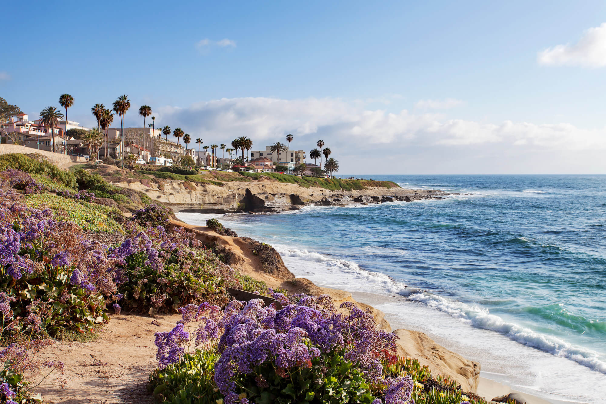 IRAR La Jolla CA