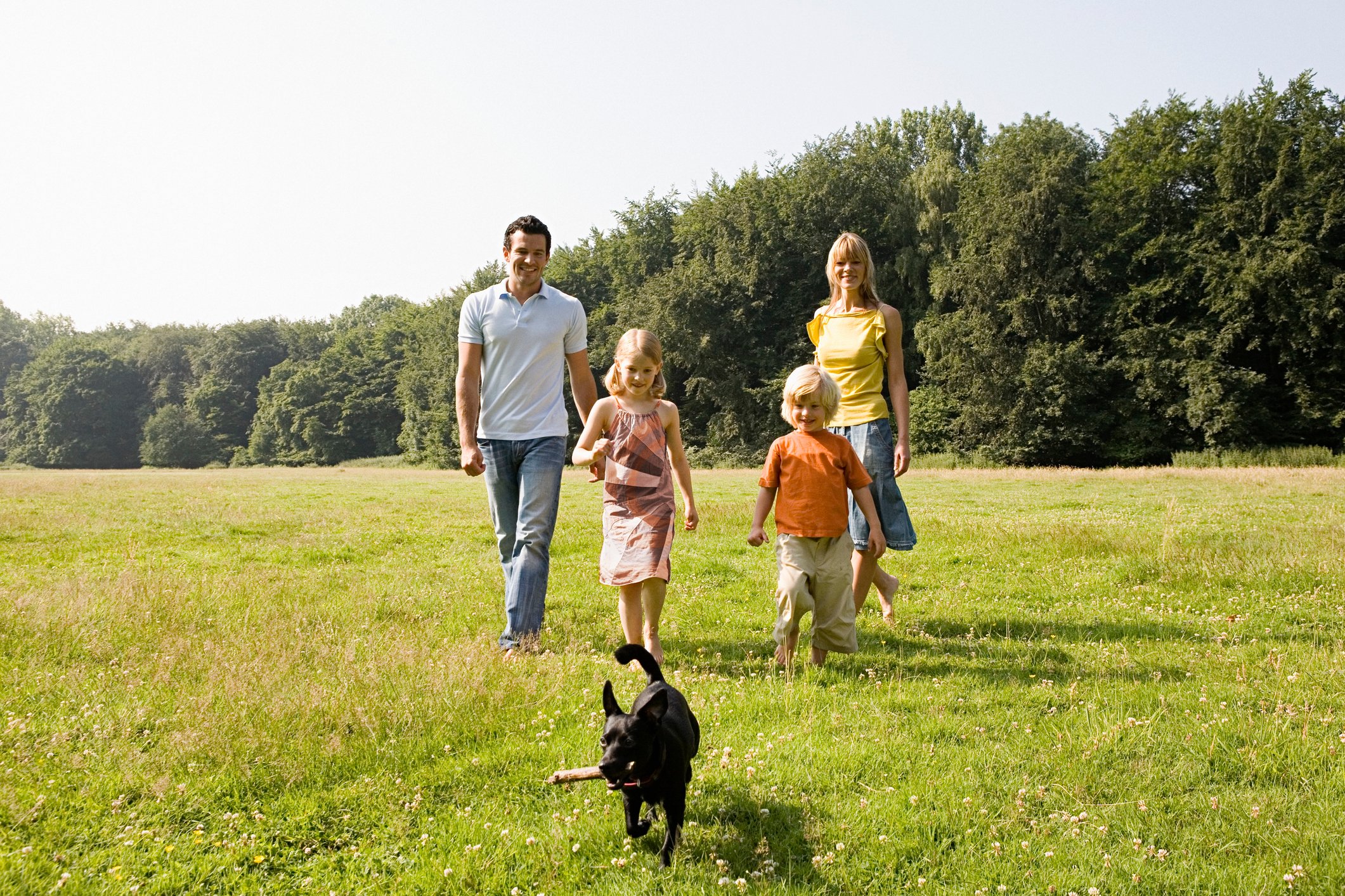 How self-directed IRAs work