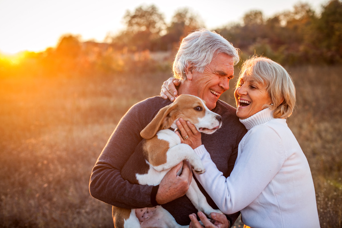 How to Take a Distribution or RMD from your Real Estate IRA